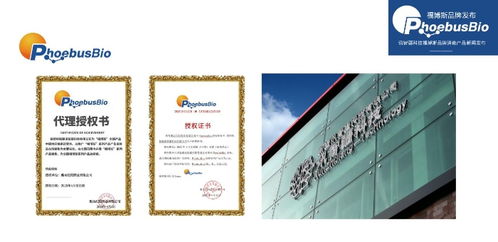 攜手創(chuàng)新 共筑健康屏障——訊智疆科技成功召開福博斯品牌消毒液產(chǎn)品新聞發(fā)布會(huì)